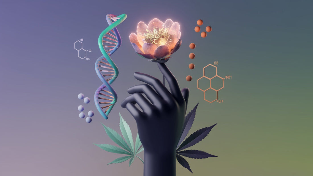 Eine Person hält eine CBD-Blüte in der Hand, umgeben von abstrakten DNA-Strängen und Pflanzenmolekülen in warmen Farben.