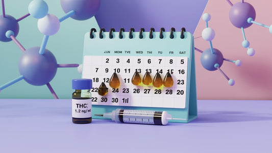 Täglicher CBD-Konsum: Wann wird THC im Körper gefährlich?
