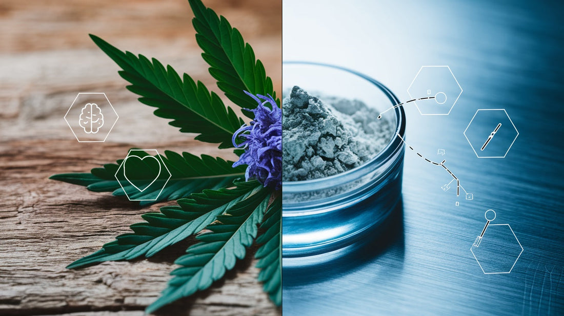 Gefahren von CBD Blüten: Warum chemische CBD-Isolate beim Verbrennen toxisch sind