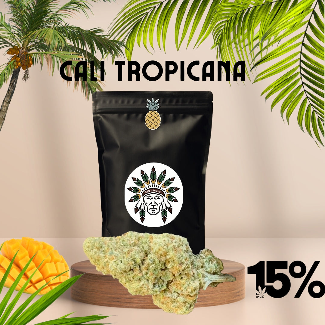 CBD Blüten Sorte: Cali Tropicana - Tropisch Skunk