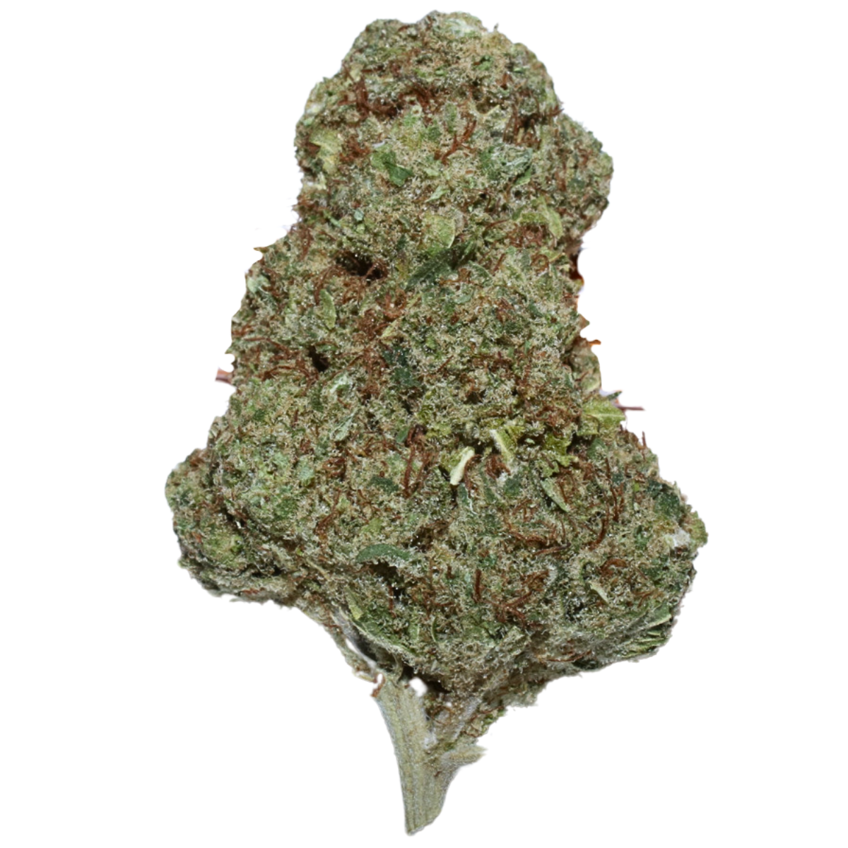 Cali Ivory Breath