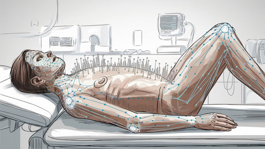 Endocannabinoid System und die Wirkung von Cannabis