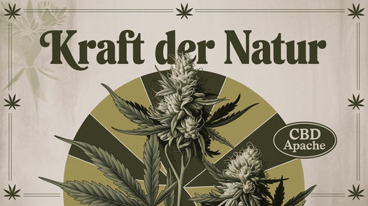 CBD-Blüten: Was sie im Körper bewirken und was man beim Rauchen spürst
