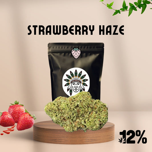 CBD Blüten Sorte: Strawberry Haze – Fruchtiges Aroma