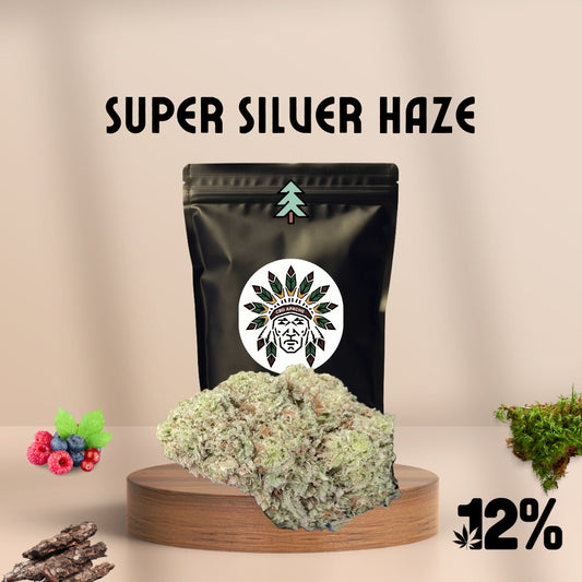 CBD Blüten Sorte: Super Silver Haze – Waldig Fruchtiges Aroma