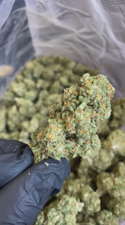 CALI WATERMELON ZKITTLEZ 10g